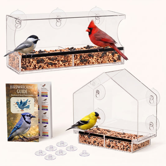 The Cat TV Starter Kit