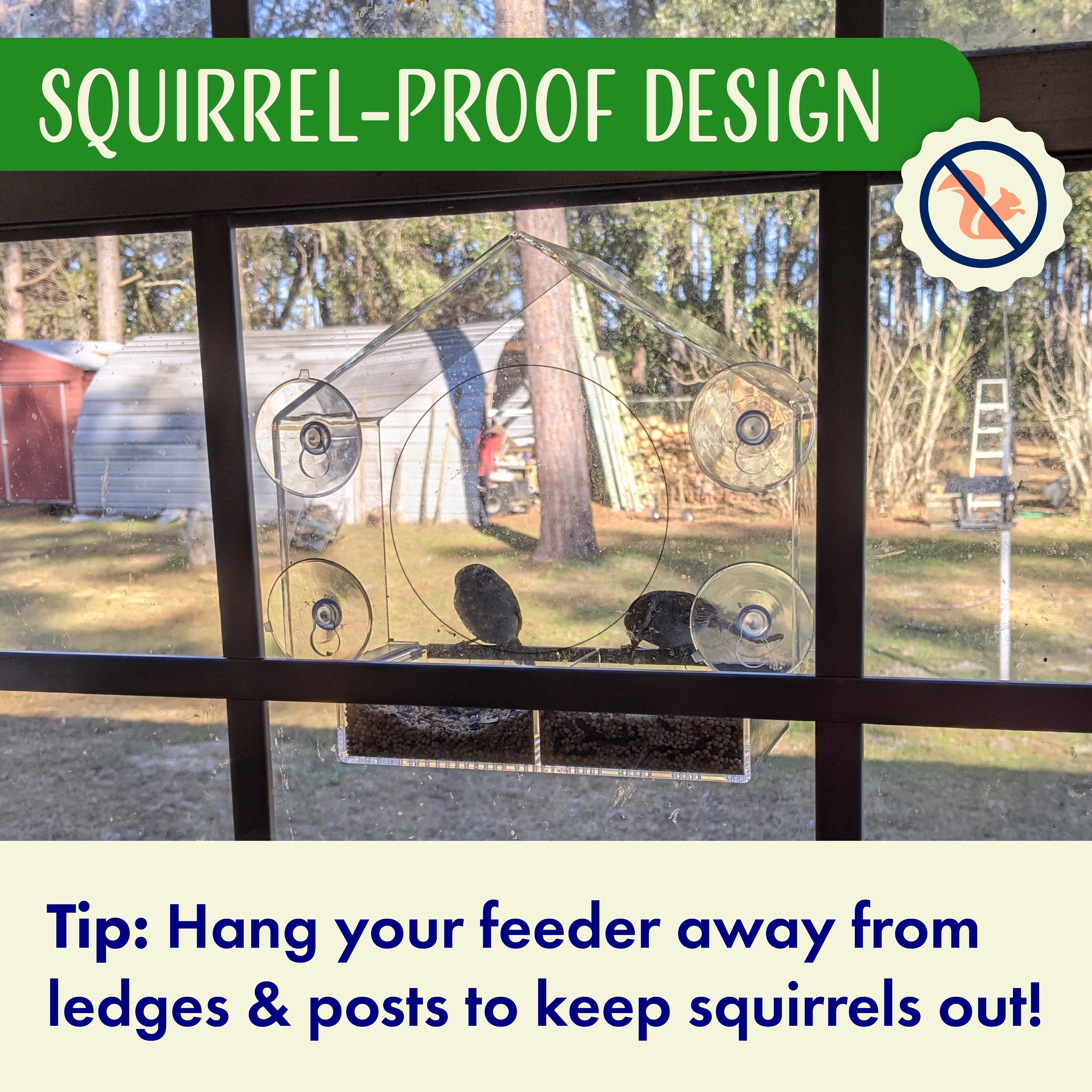 House Window Bird Feeder with Viewing Hole and Seed Tray