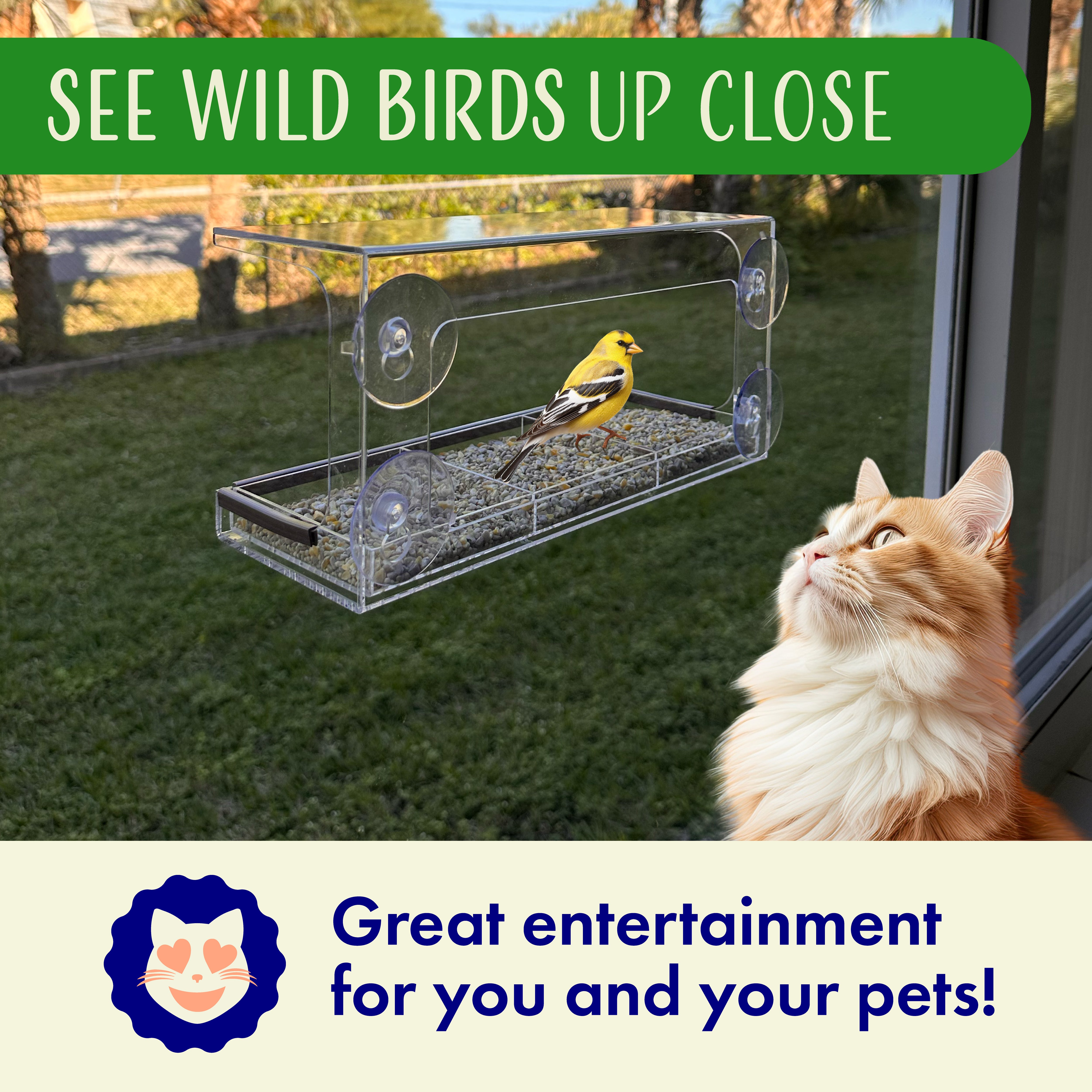 Window Bird Feeder with Viewing Hole and Seed Tray