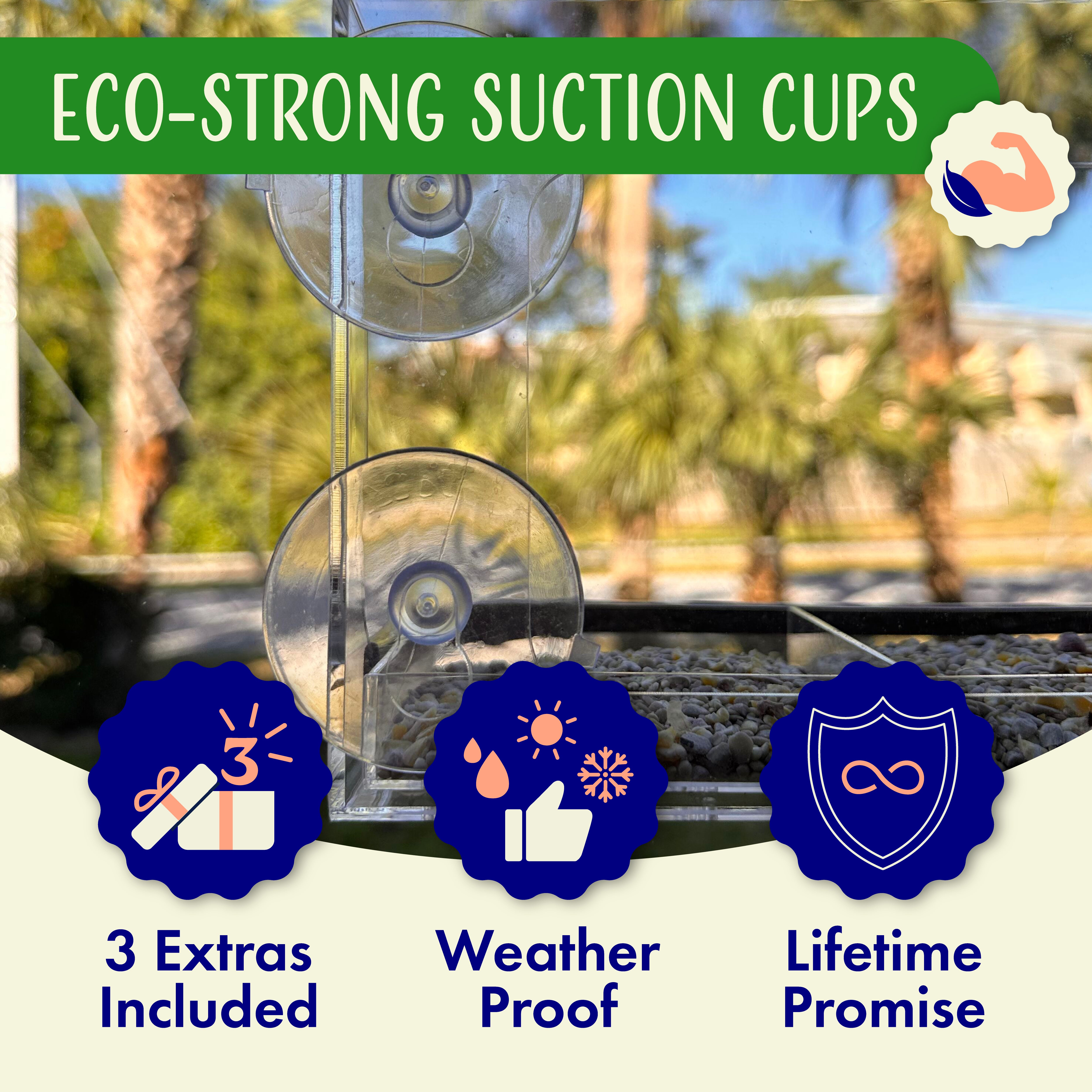 Window Bird Feeder with Viewing Hole and Seed Tray