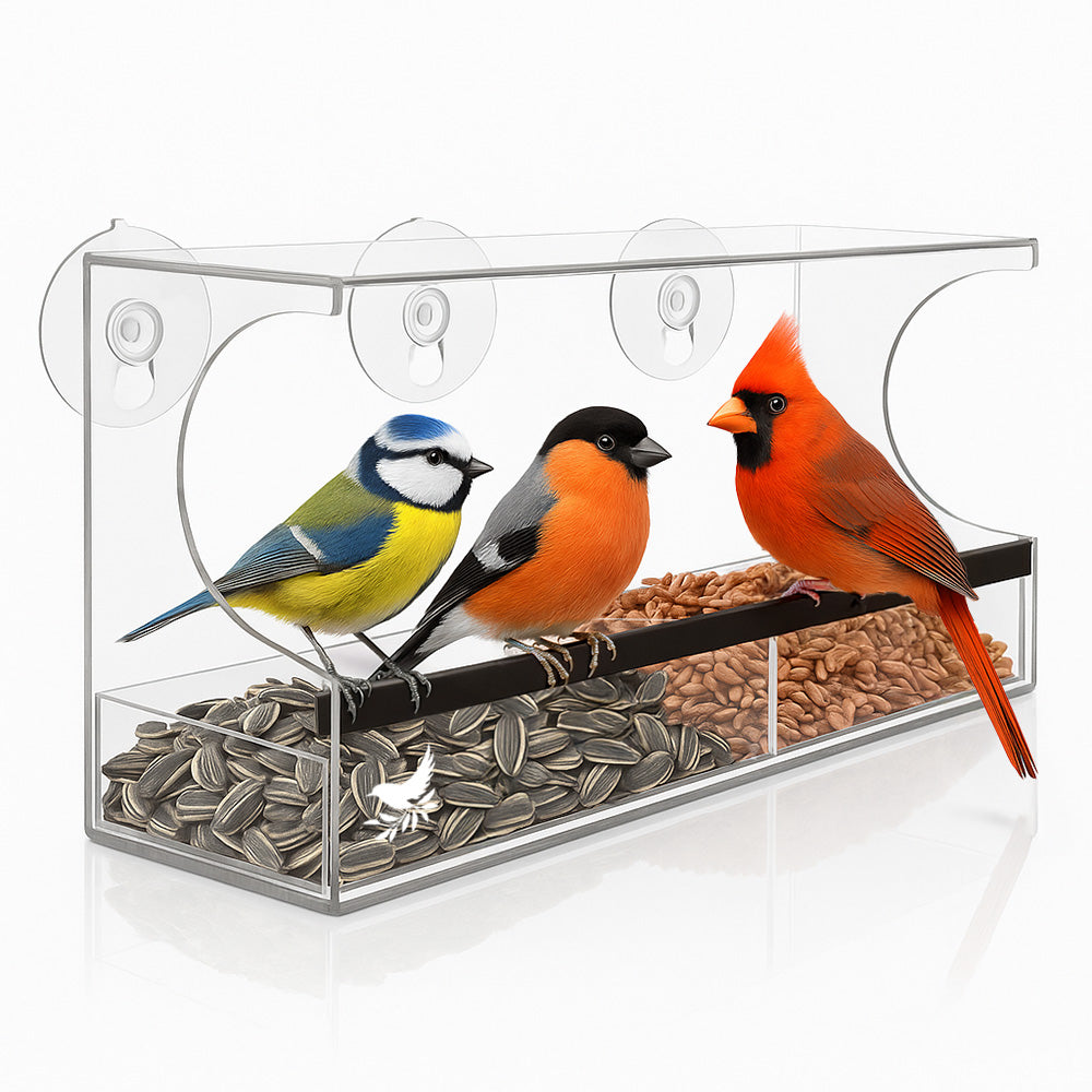 Window Bird Feeder with Strong Suction Cups and Seed Tray