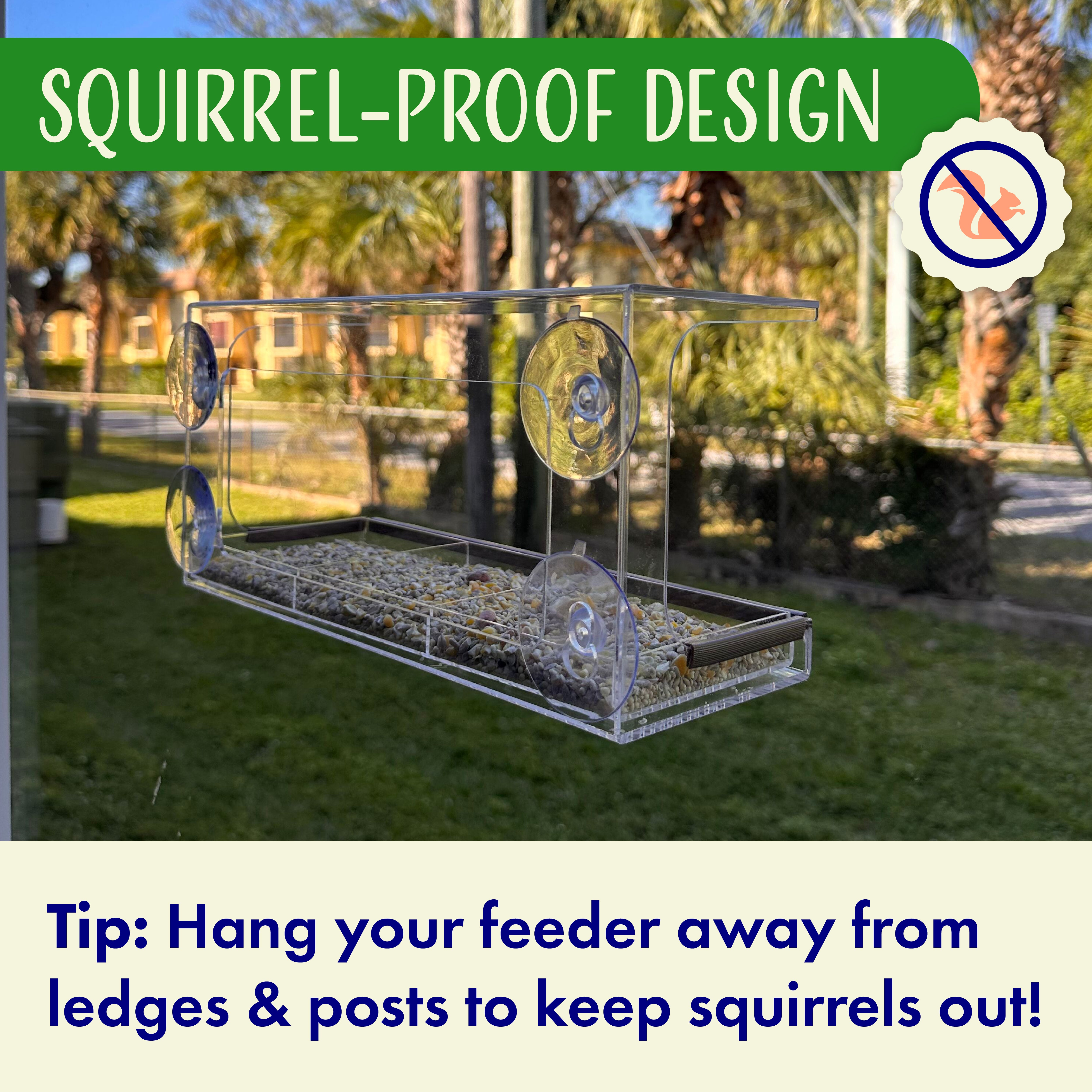 Window Bird Feeder with Viewing Hole and Seed Tray