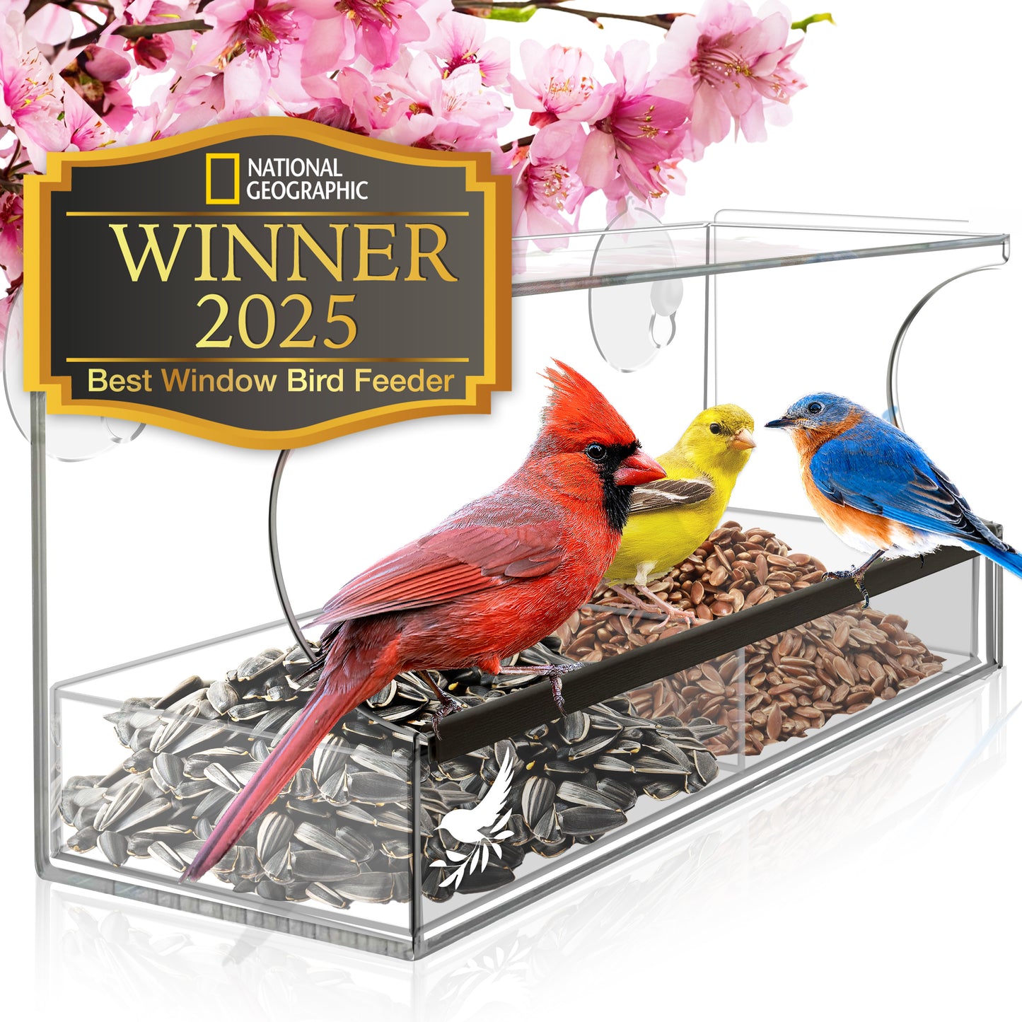 Window Bird Feeder with Bird Guide, Strong Suction Cups and Seed Tray