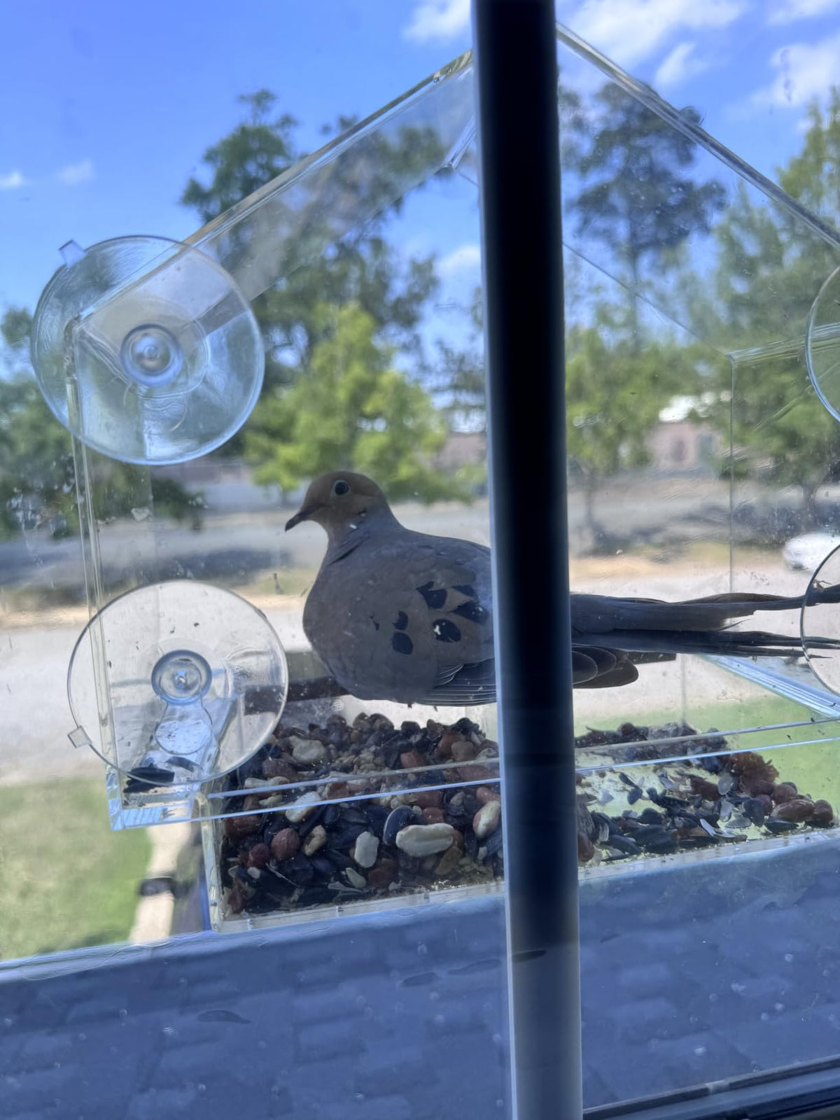 Photo shared with Corey Lupardus’s feeder review