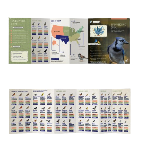 Nature’s Hangout birdwatching guide