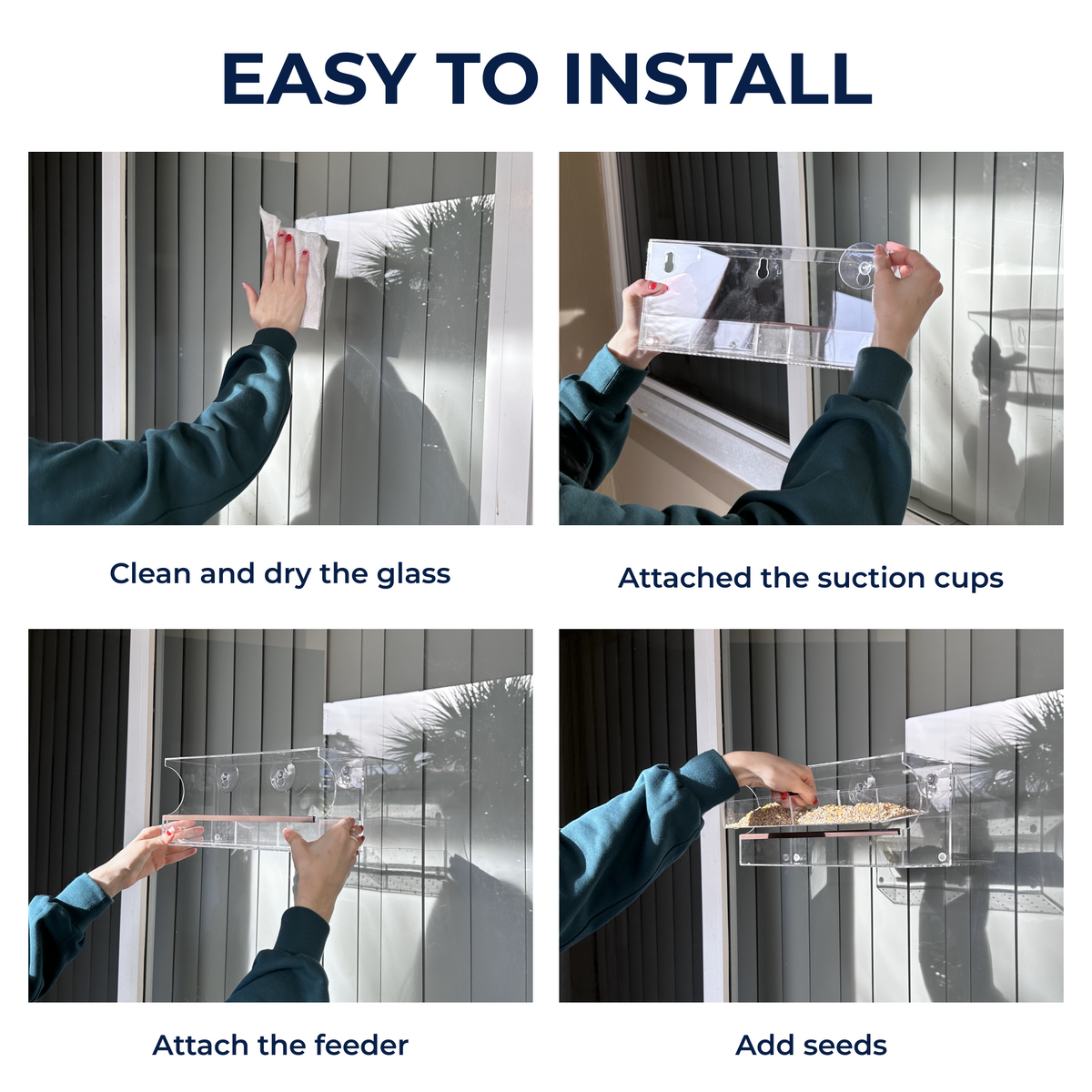 The Cat TV Starter Kit