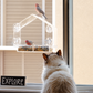 The Cat TV Starter Kit
