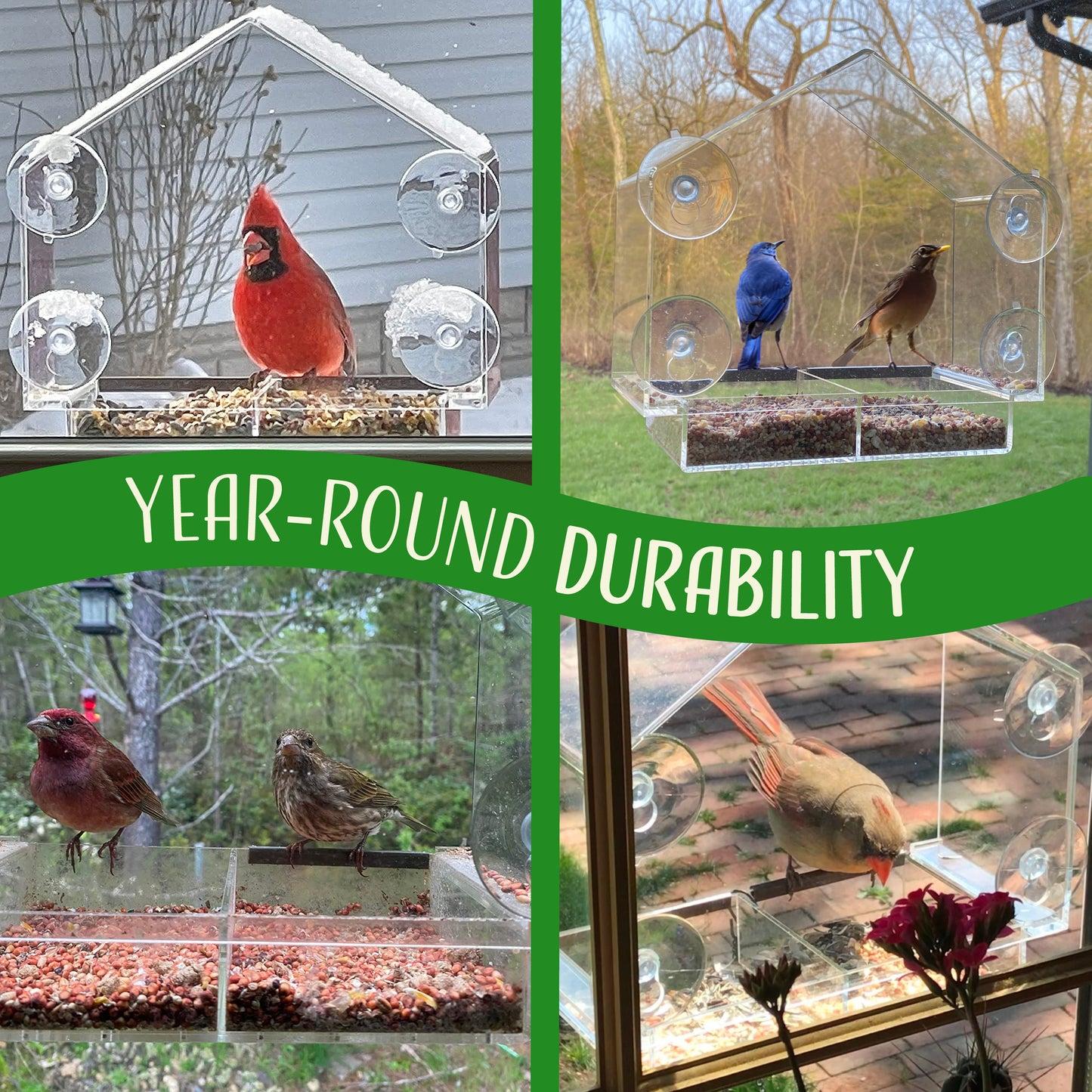 House Window Bird Feeder with Strong Suction Cups