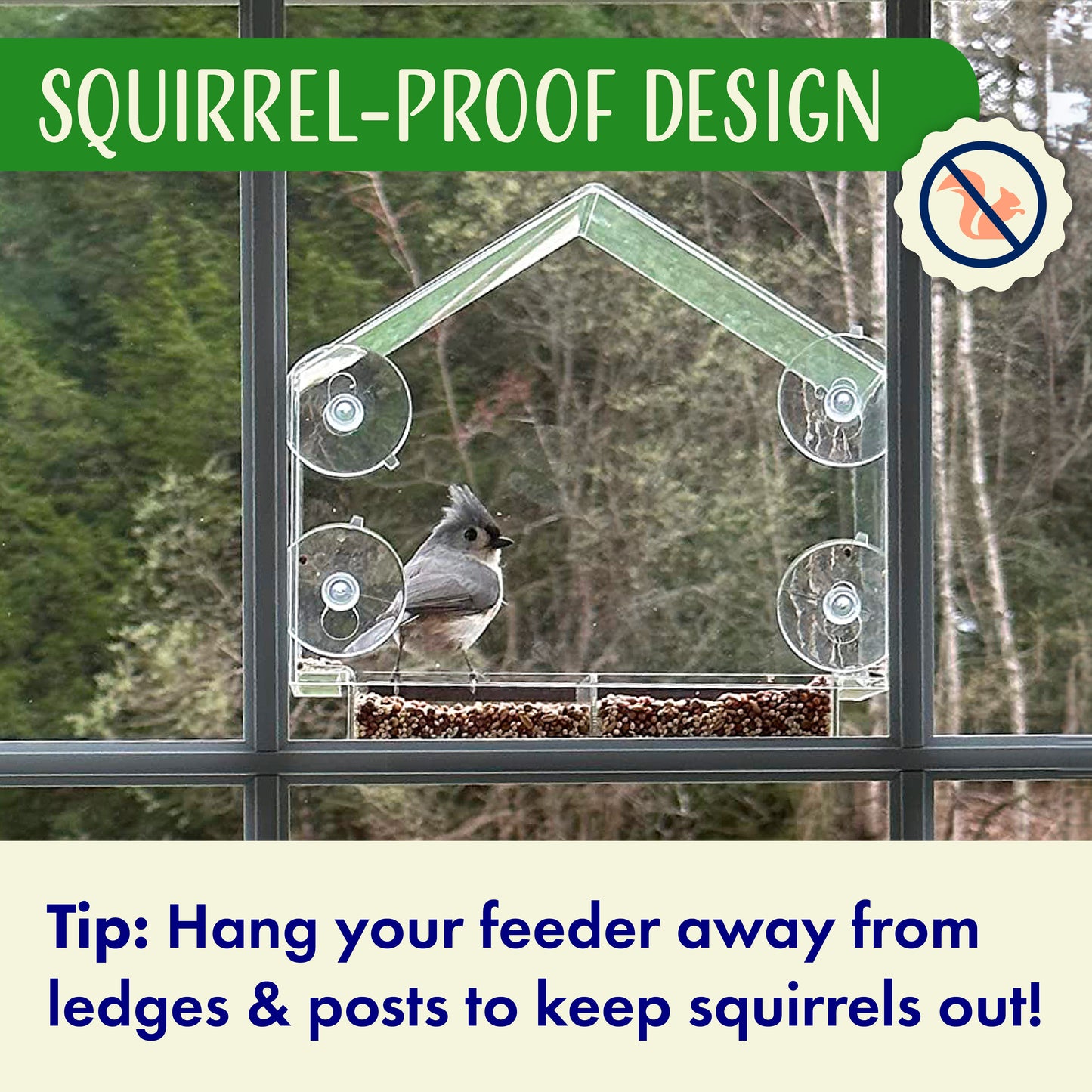 House Window Bird Feeder with Strong Suction Cups