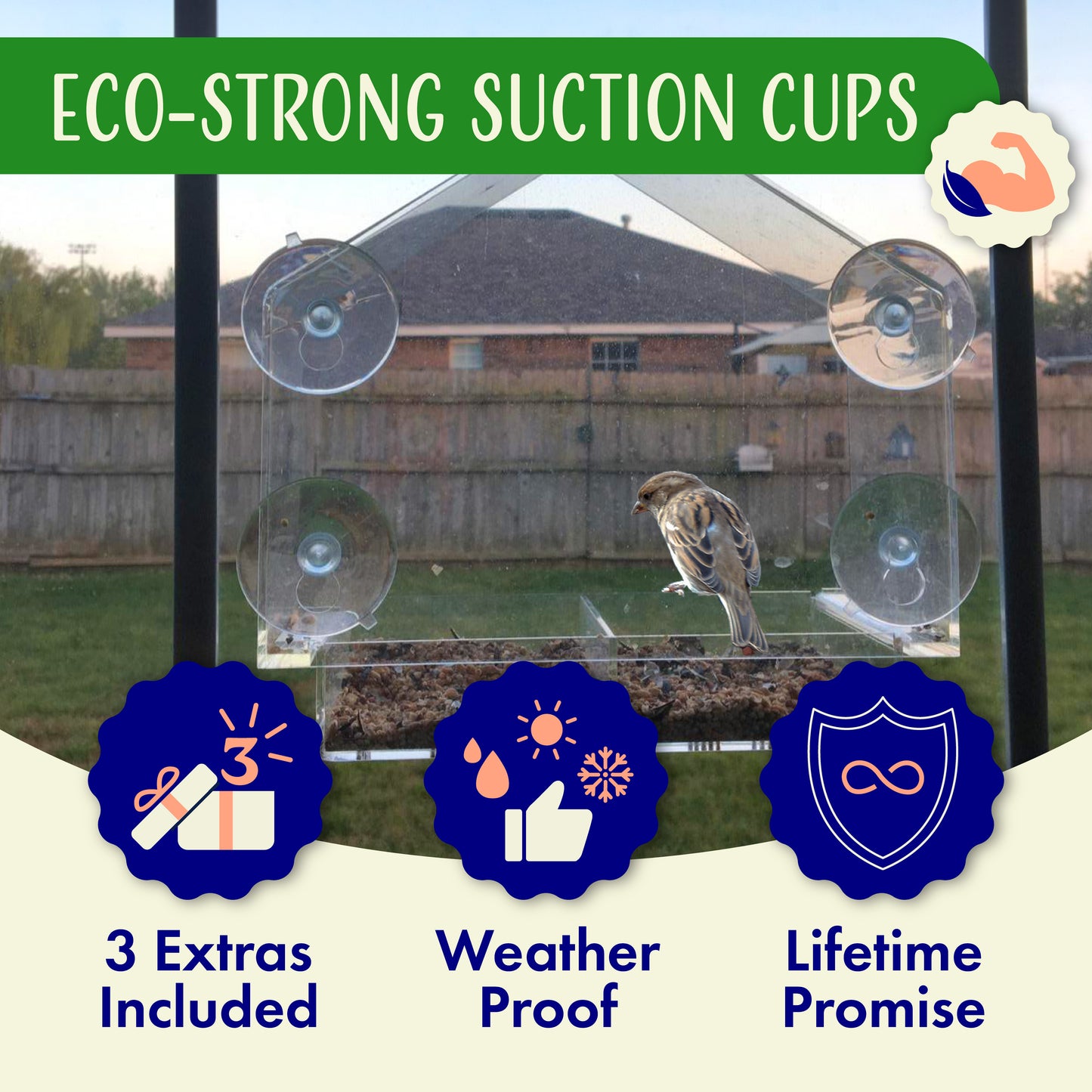House Window Bird Feeder with Strong Suction Cups