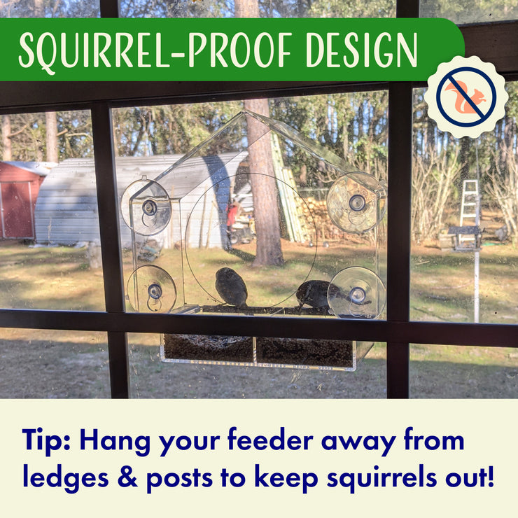 House Window Bird Feeder with Viewing Hole and Seed Tray