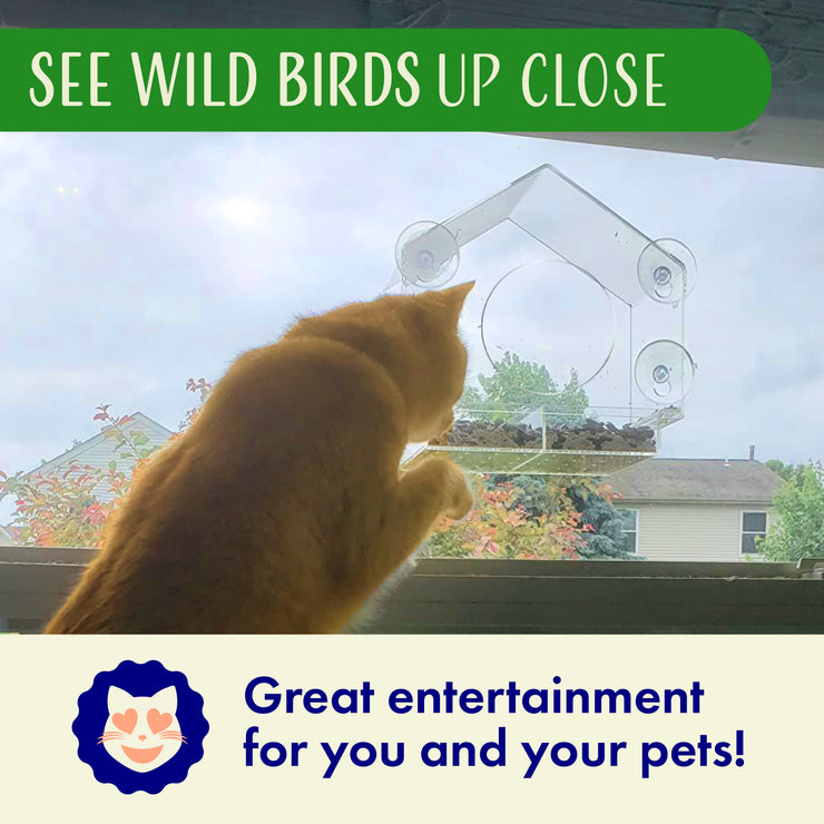 House Window Bird Feeder with Viewing Hole and Seed Tray
