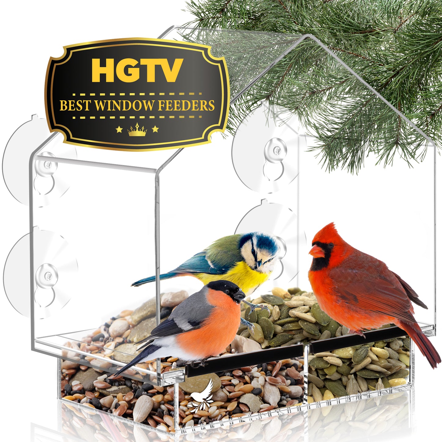 House Window Bird Feeder with Strong Suction Cups