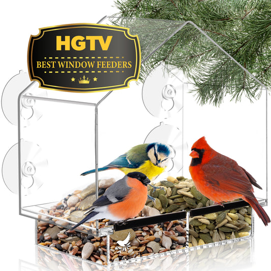 House Window Bird Feeder with Strong Suction Cups