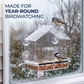 House Window Bird Feeder
