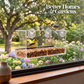Ranch Window Bird Feeder