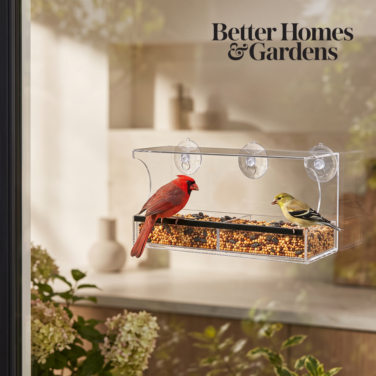 Ranch Window Bird Feeder + Bird Guide