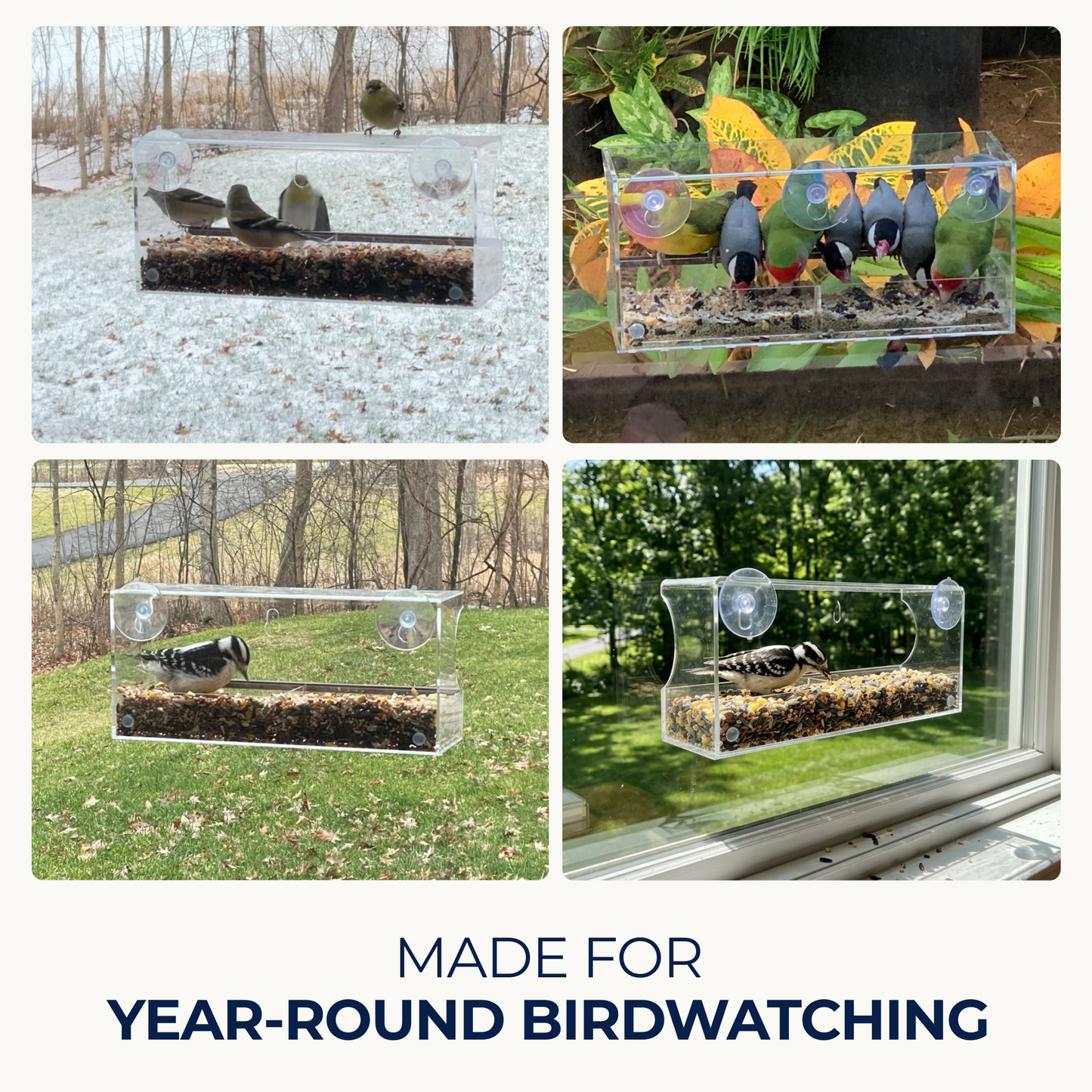 Ranch Window Bird Feeder