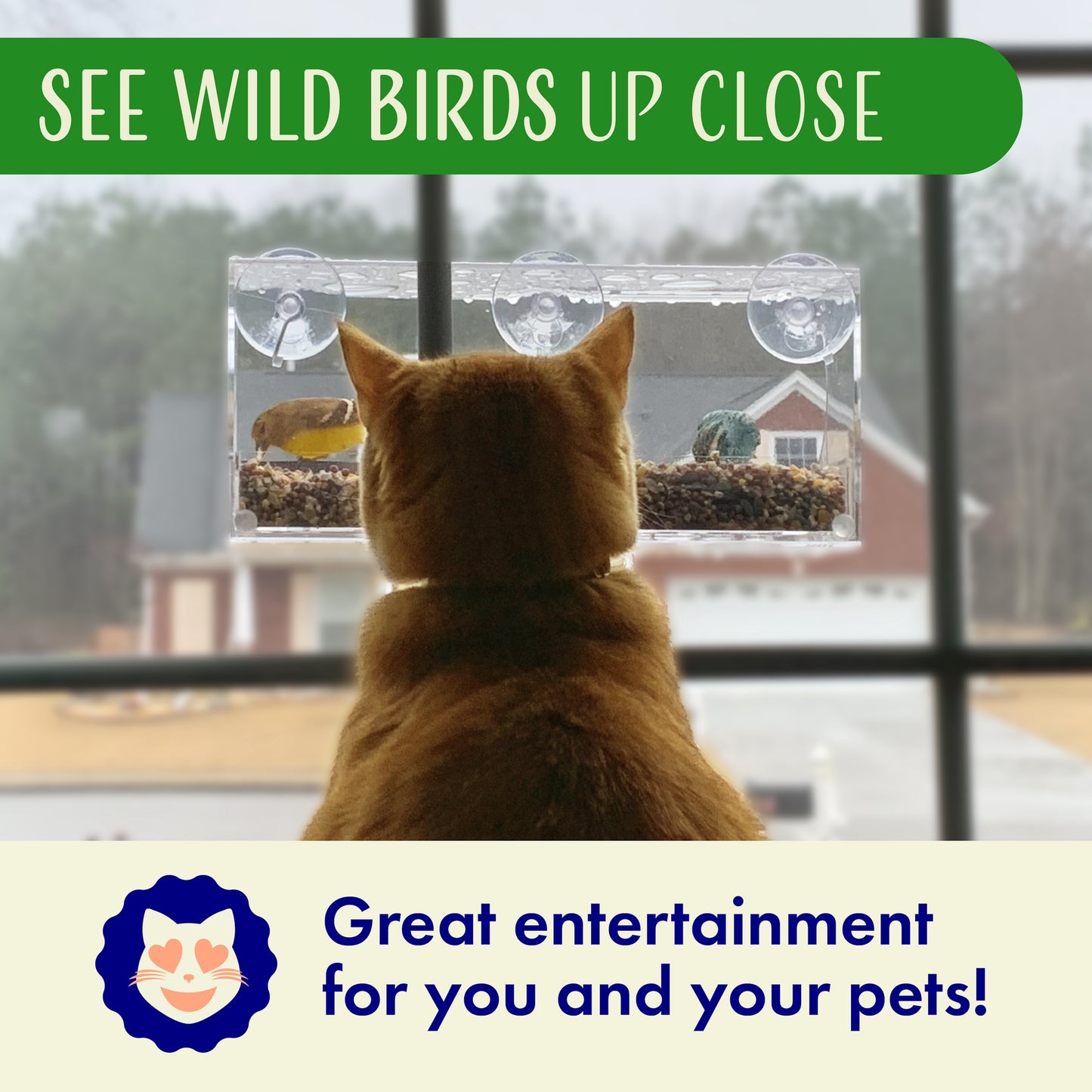 Window Bird Feeder with Strong Suction Cups and Seed Tray