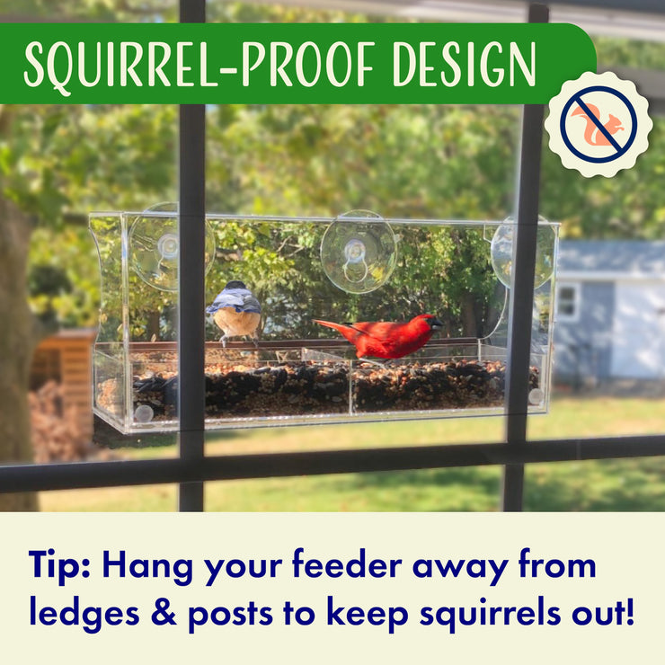 Window Bird Feeder with Strong Suction Cups and Seed Tray