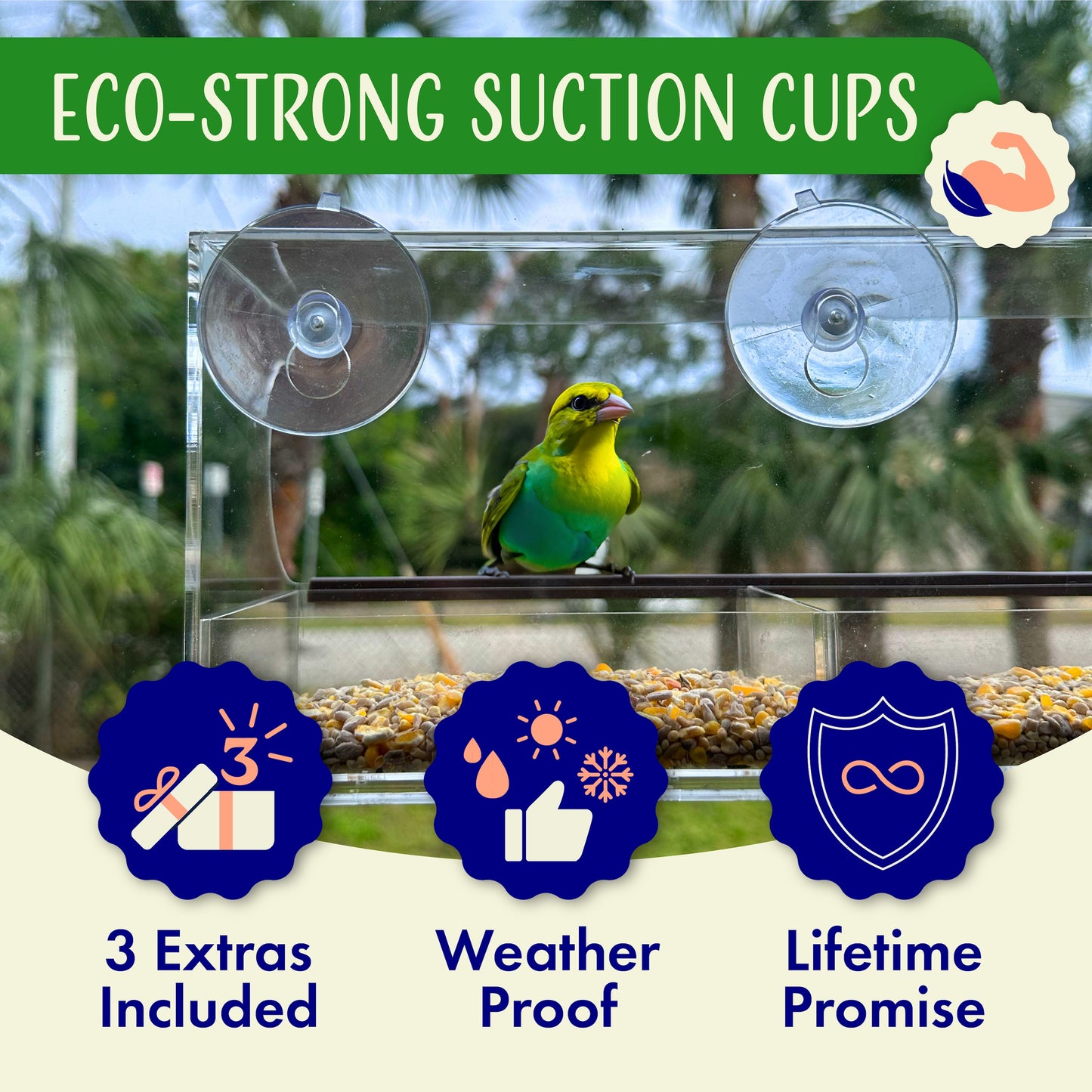 Window Bird Feeder with Strong Suction Cups and Seed Tray