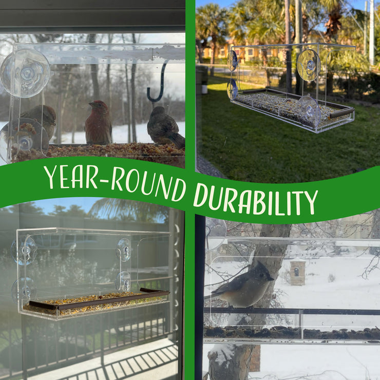Window Bird Feeder with Viewing Hole and Seed Tray