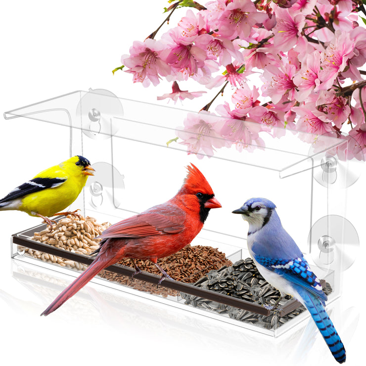 Window Bird Feeder with Viewing Hole and Seed Tray