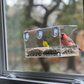 Window Bird Feeder with Strong Suction Cups and Seed Tray