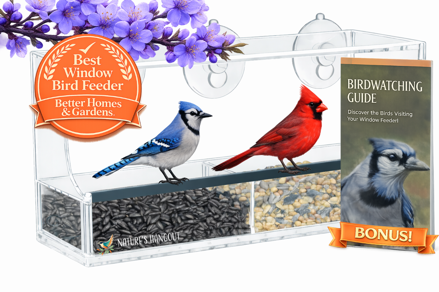 Window Bird Feeder with Strong Suction Cups and Seed Tray