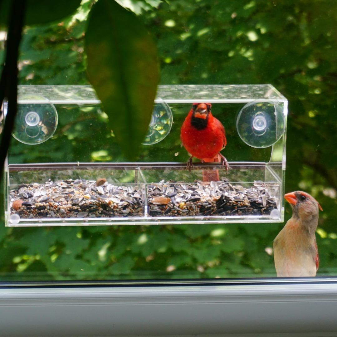 Two cardinals visiting a Nature’s Hangout window feeder