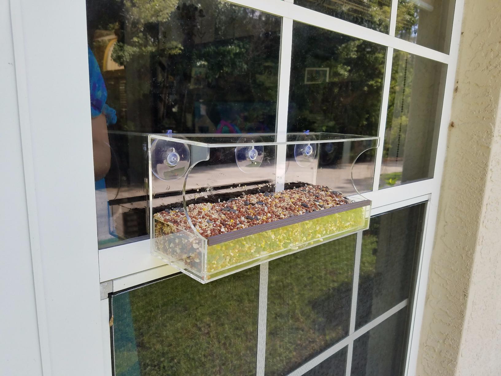 Ranch feeder mounted on a window, showing its three suction cups and seed-filled tray
